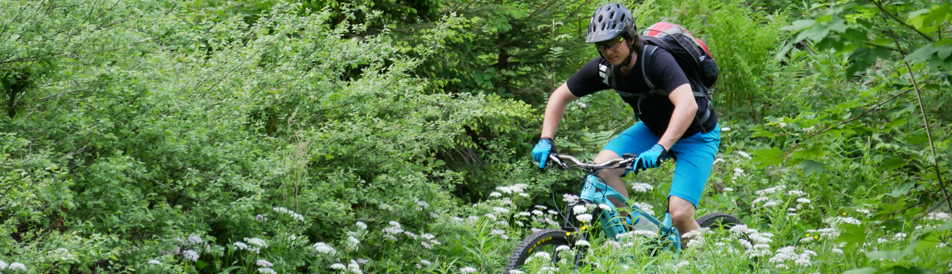 Fahrsicherheitstraining