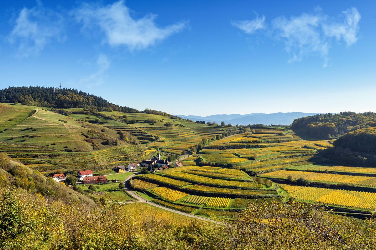 Kaiserstuhl Trail