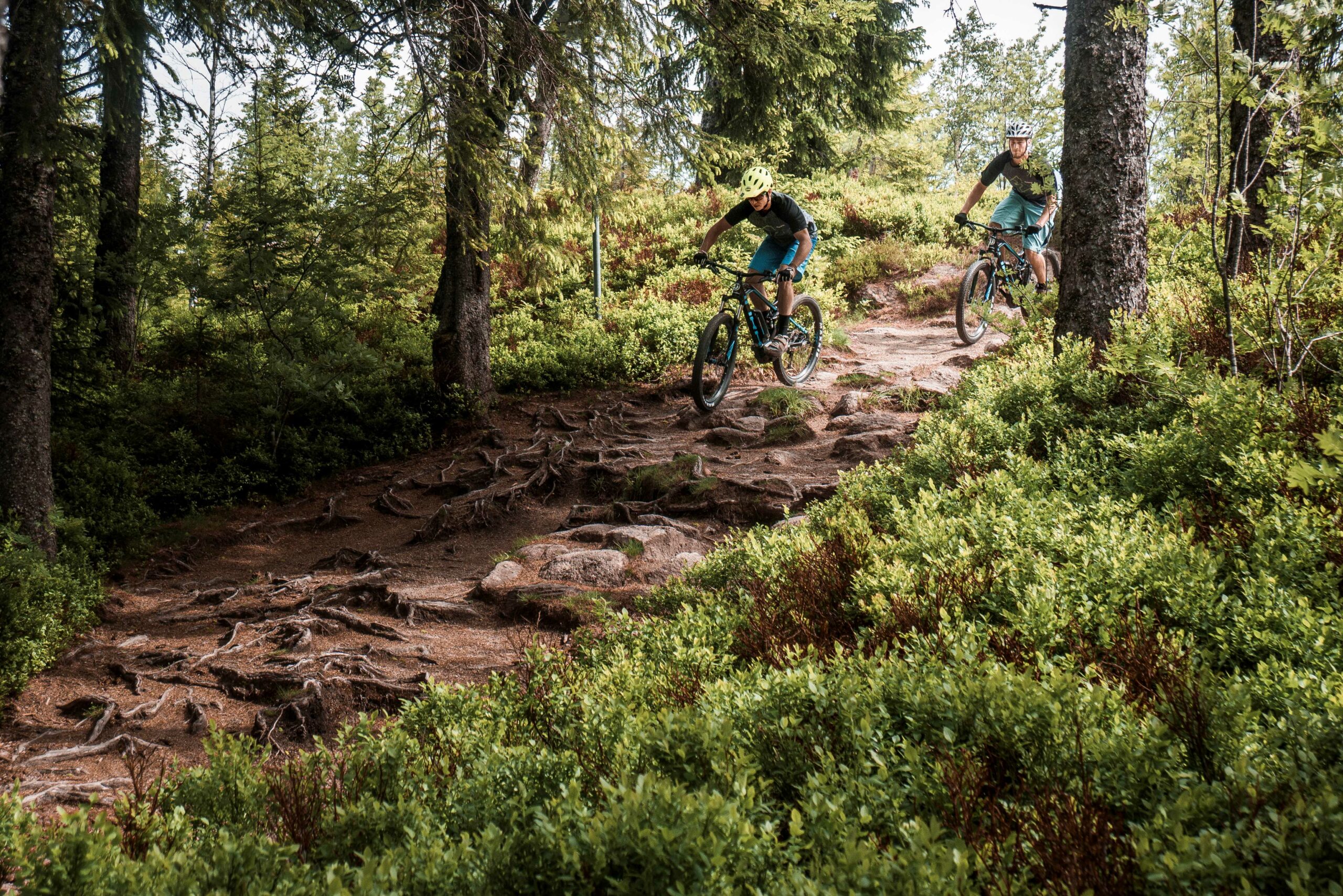 freiburg mtb tour