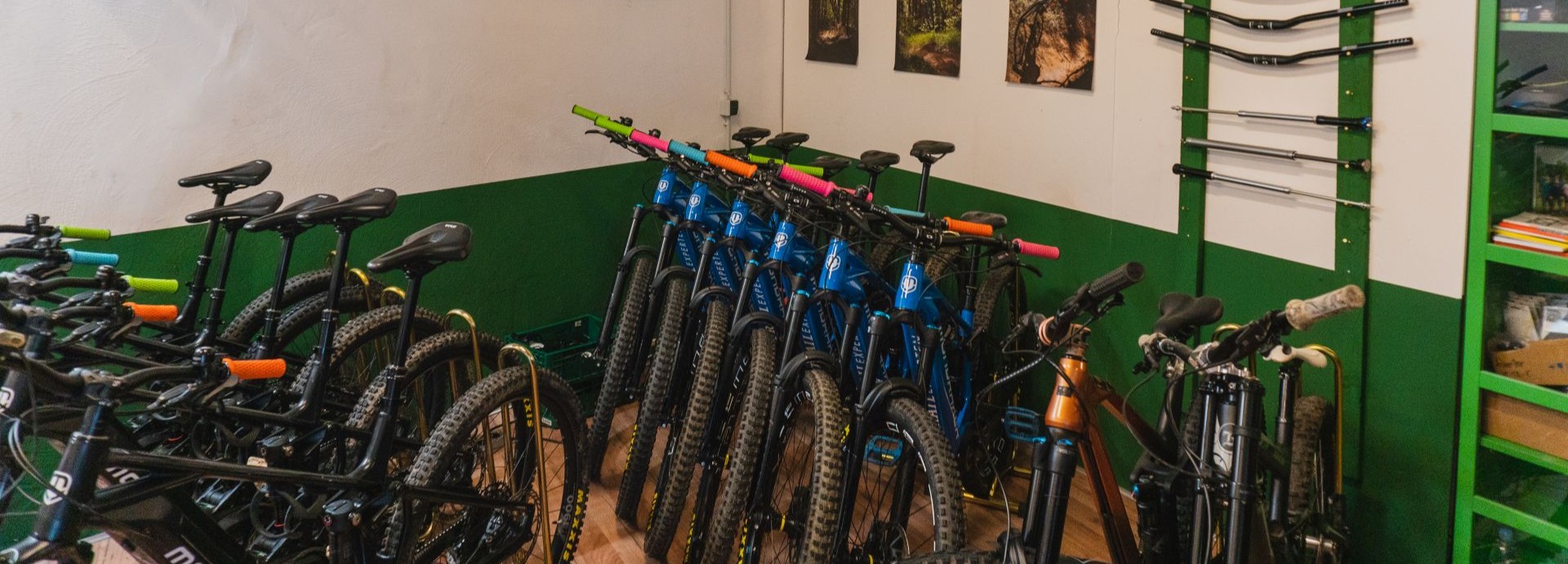 Mondraker Leih Bikes Trail Experten Freiburg